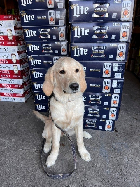 Oakley sitting beside stacked beer cases